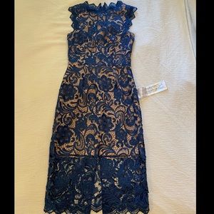 Dress the population “Claudette” dress. NWT, size small